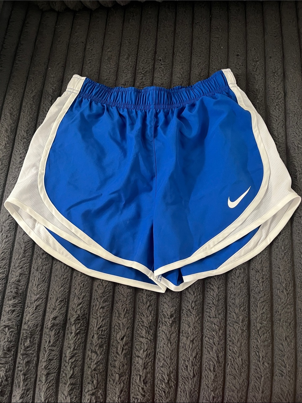 Nike Royal Blue and White Women's Athletic Shorts